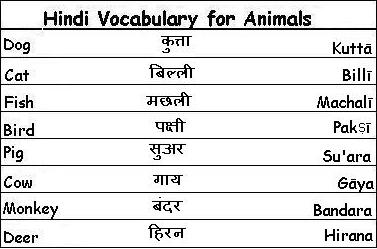 hindi typing words list